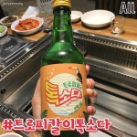 한 때 유행했다가 사라져버린 술 모음.jpg - 악플달면 쩌리쩌려버려... 차분한 20대들의 알흠다운 공간 한 때 유행했다가 사라져버린 술 모음.jpg