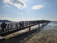 [sbp] 2026년1월24일 토요일 서해랑길 27코스를 다녀와서!... 아름다운 자연의 표상 [sbp] 2026년1월24일 토요일 서해랑길 27코스를 다녀와서!