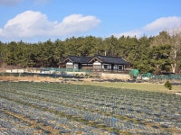 [6p] 2026년1월24일 토요일 서해랑길 27코스를 다녀와서!... 아름다운 자연의 표상 [6p] 2026년1월24일 토요일 서해랑길 27코스를 다녀와서!