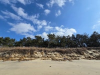 [5p] 2026년1월24일 토요일 서해랑길 27코스를 다녀와서! - ◆─◐서해랑길 사진 - 아름다운 자연의 표상 [5p] 2026년1월24일 토요일... 