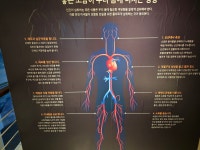 [10p] 2026년1월24일 토요일 서해랑길 27코스를 다녀와서!... 아름다운 자연의 표상 [10p] 2026년1월24일 토요일 서해랑길 27코스를 다녀와서!