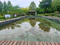 (경북 봉화) 국립백두대간수목원 (문수산 산행1부) (25.05.15.목) - 산행기 - 대구 의산 (경북 봉화) 국립백두대간수목원 (문수산 산행1부)... 