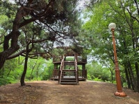 (대구) 청룡지맥구간의 금봉산과 두리봉(26.6.21.일.경맥46산악회) - 산행기 - 대구 의산 (대구) 청룡지맥구간의 금봉산과 두리봉(26.6.21.일.... 