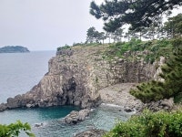 (제주도) 천지연폭포, 자구리(담수욕장&주상절리), 정방폭포, 외돌개(25.5.8.목) - 카페 앨범 - 대구 의산 (제주도) 천지연폭포, 자구리(담수욕장... 