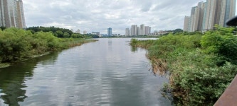 (수원시) 신대호수와 원천호수 그리고 야경이 황홀한 광교호수공원(22.8.24.수) - 둘레길 GPS Track - GPS 월드 (수원시) 신대호수와 원천호수... 
