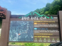 (충북 제천) 금수산, 상학 원점의 4전망대 4기암 (25.6.7.일) - 산행기 - 대구 의산 (충북 제천) 금수산, 상학 원점의 4전망대 4기암 (25.6.7.일)