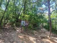 (대구)고산골 용두산 토굴암 맨발길(25.8.17일.경맥46산악회 정산) - 산행기 - 대구 의산 (대구)고산골 용두산 토굴암 맨발길(25.8.17일.... 