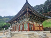 (경북 봉화)夢幻的 濃霧속 문수지맥1구간 문수산과 천년고찰 축서사 (25.5.15.목) - 산행기 - 대구 의산 (경북 봉화)夢幻的 濃霧속... 