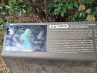 (제주도) 제주올레길5코스 최승지, 남원 큰엉 해안절벽 경승지 (25.5.7.수) - 산행기 - 대구 의산 (제주도) 제주올레길5코스 최승지, 남원 큰엉... 