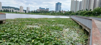 (수원시) 신대호수와 원천호수 그리고 야경이 황홀한 광교호수공원(22.8.24.수) - 둘레길 GPS Track - GPS 월드 (수원시) 신대호수와 원천호수... 