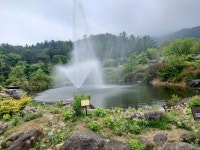 (경북 봉화) 국립백두대간수목원 (문수산 산행1부) (25.05.15.목) - 산행기 - 대구 의산 (경북 봉화) 국립백두대간수목원 (문수산 산행1부)... 