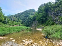 (강원 정선)연산군哀史 취적봉과 각TV방영 뼝대비경 덕산기계곡(25.7.... 목) - 산행기 - 대구 의산 (강원 정선)연산군哀史 취적봉과 각TV방영... 