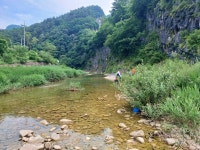 (강원 정선)연산군哀史 취적봉과 각TV방영 뼝대비경 덕산기계곡(25.7.... 목) - 산행기 - 대구 의산 (강원 정선)연산군哀史 취적봉과 각TV방영... 