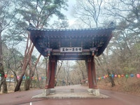 (충북 보은) 속리산 법주사-문장대 등산후 하산길 (25.04.13.일) - 카페 앨범 - 대구 의산 (충북 보은) 속리산 법주사-문장대... 