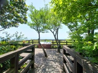 (제주도) 한라산둘레길6, 무오법정사~법정이오름~편백숲~원점(25.5.8.목) - 산행기 - 대구 의산 (제주도) 한라산둘레길6, 무오법정사... 