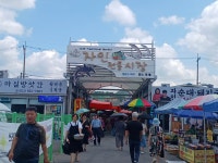 (경산 자인) 계정숲, 250년 이팝나무 그늘아래 단오제 등 문화유산... 4사랑방 (경산 자인) 계정숲, 250년 이팝나무 그늘아래 단오제 등... 