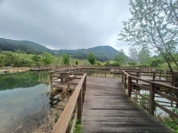 (경북 봉화) 국립백두대간수목원 (문수산 산행1부) (25.05.15.목) - 산행기 - 대구 의산 (경북 봉화) 국립백두대간수목원 (문수산 산행1부)... 