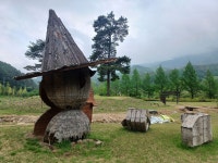 (경북 봉화) 국립백두대간수목원 (문수산 산행1부) (25.05.15.목) - 산행기 - 대구 의산 (경북 봉화) 국립백두대간수목원 (문수산 산행1부)... 