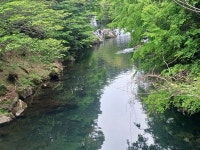 (제주도) 천지연폭포, 자구리(담수욕장&주상절리), 정방폭포, 외돌개(25.5.8.목) - 카페 앨범 - 대구 의산 (제주도) 천지연폭포, 자구리(담수욕장... 