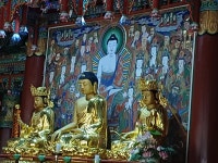(경북 봉화)夢幻的 濃霧속 문수지맥1구간 문수산과 천년고찰 축서사 (25.5.15.목) - 산행기 - 대구 의산 (경북 봉화)夢幻的 濃霧속... 