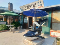 (울산) 장생포 고래문화마을 오색수국정원 수국페스티벌(25.6.27.금) - 우리들의 이야기 - 7.4사랑방 (울산) 장생포 고래문화마을... 