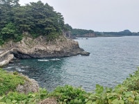 (제주도) 천지연폭포, 자구리(담수욕장&주상절리), 정방폭포, 외돌개(25.5.8.목) - 카페 앨범 - 대구 의산 (제주도) 천지연폭포, 자구리(담수욕장... 