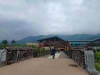 (경북 봉화) 국립백두대간수목원 (문수산 산행1부) (25.05.15.목) - 산행기 - 대구 의산 (경북 봉화) 국립백두대간수목원 (문수산 산행1부)... 