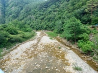 (강원 정선)연산군哀史 취적봉과 각TV방영 뼝대비경 덕산기계곡(25.7.... 목) - 산행기 - 대구 의산 (강원 정선)연산군哀史 취적봉과 각TV방영... 