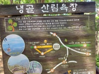 (팔공산) 험로만 골라, 신림봉 낙타봉 릿지 동봉 비로봉 서봉 장군봉(25.7.11.금) - 산행기 - 대구 의산  (팔공산) 험로만 골라, 신림봉 낙타봉... 