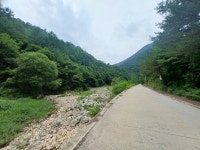 (강원 정선)연산군哀史 취적봉과 각TV방영 뼝대비경 덕산기계곡(25.7.... 목) - 산행기 - 대구 의산 (강원 정선)연산군哀史 취적봉과 각TV방영... 