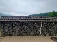 (경북 봉화) 국립백두대간수목원 (문수산 산행1부) (25.05.15.목) - 산행기 - 대구 의산 (경북 봉화) 국립백두대간수목원 (문수산 산행1부)... 
