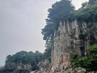 (제주도) 천지연폭포, 자구리(담수욕장&주상절리), 정방폭포, 외돌개(25.5.8.목) - 카페 앨범 - 대구 의산 (제주도) 천지연폭포, 자구리(담수욕장... 