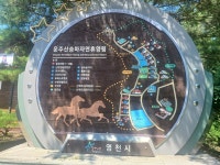 (영천) 운주산자연휴양림,솔바람길&달맞이길 맨발걷기(25.7.24.목. 462步生클럽) - 산행기 - 대구 의산 (영천) 운주산자연휴양림,솔바람길... 