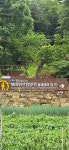 6.14(일)북바위산 정기산행 - 정기산행 사진방 - 5060 산이랑 우리랑 6.14(일)북바위산 정기산행