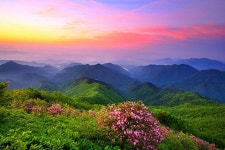 2022 카타르 월드컵 출전수당 - ▶자유 게시판 - ROUTE KOREA 2022 카타르 월드컵 출전수당