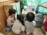 4월 하늘반 동물체험⛅️ - 어흥 동물체험 - 시립장현루벤시아2차 어린이집 4월 하늘반 동물체험⛅️