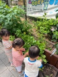 🌼6월 4주 꽃잎반 이야기🌼 (1) - 꽃잎반 이야기 - 시립장현루벤시아2차 어린이집 🌼6월 4주 꽃잎반 이야기🌼 (1)