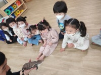 4월 하늘반 동물체험⛅️ - 어흥 동물체험 - 시립장현루벤시아2차 어린이집 4월 하늘반 동물체험⛅️