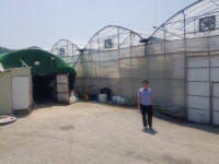 농축산 방문 - 6월 (대산면 ***파프리카, **농장) - 우리들의 이야기 - 함안군외국인주민통합지원센터(구, 함안외국인센터) 농축산 방문 - 6월... 