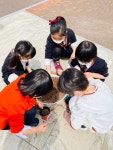 4월 5일🌳식목일 행사-토마토 모종 심기🍅 - 즐거운반 - 꿈이 있는 아이, 아이가 빛나는 마리아 유치원 4월 5일🌳식목일 행사-토마토 모종... 