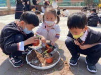 4월5일 방울토마토를 심었어요:) - 행복한반 - 꿈이 있는 아이, 아이가 빛나는 마리아 유치원 4월5일 방울토마토를 심었어요:)