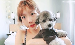 펫셔니스타 탱구 EP. 10 - Gif - Dear My Rose 펫셔니스타 탱구 EP. 10