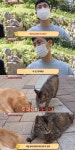 [동물농장] 리트리버에게 푹 빠진 길고양이들.jpg - 악플달면... 차분한 20대들의 알흠다운 공간 [동물농장] 리트리버에게 푹 빠진 길고양이들.jpg