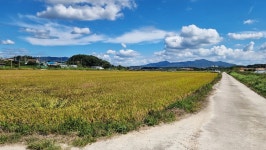 경기옛길 봉화길 제9길 설성산길 - 5, - 경기옛길 봉화길 - 호야의 이야기 경기옛길 봉화길 제9길 설성산길 - 5,