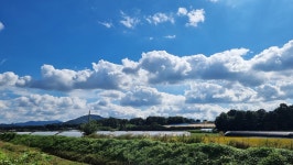 경기옛길 봉화길 제9길 설성산길 - 5, - 경기옛길 봉화길 - 호야의 이야기 경기옛길 봉화길 제9길 설성산길 - 5,