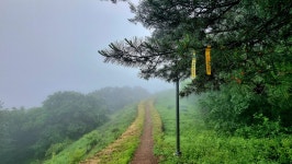 경흥길 제5길 반월산성길-4,(안내판 쉼터~400년 느티나무)2023, 05... 경흥길 제5길 반월산성길-4,(안내판 쉼터~400년 느티나무)2023, 05, 28