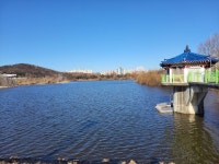 ●서호공원 & 서호호수 둘레길 - ◈ 개 인 . 산 행 . 사진 - [서울청마산악회] ●서호공원 & 서호호수 둘레길