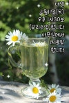 요리교실 수업 알림 - 공지사항 - 사단법인 경기도지체장애인협회 안성시지회 요리교실 수업 알림