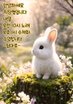 노래 수채화 수업공지 - 포토캘러리 - 사단법인 경기도지체장애인협회 안성시지회 노래 수채화 수업공지