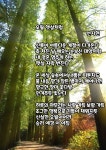 오월 햇살처럼 - 선지현 - 시화방(Photo&Poem) - 아름다운노래교실 오월 햇살처럼 - 선지현